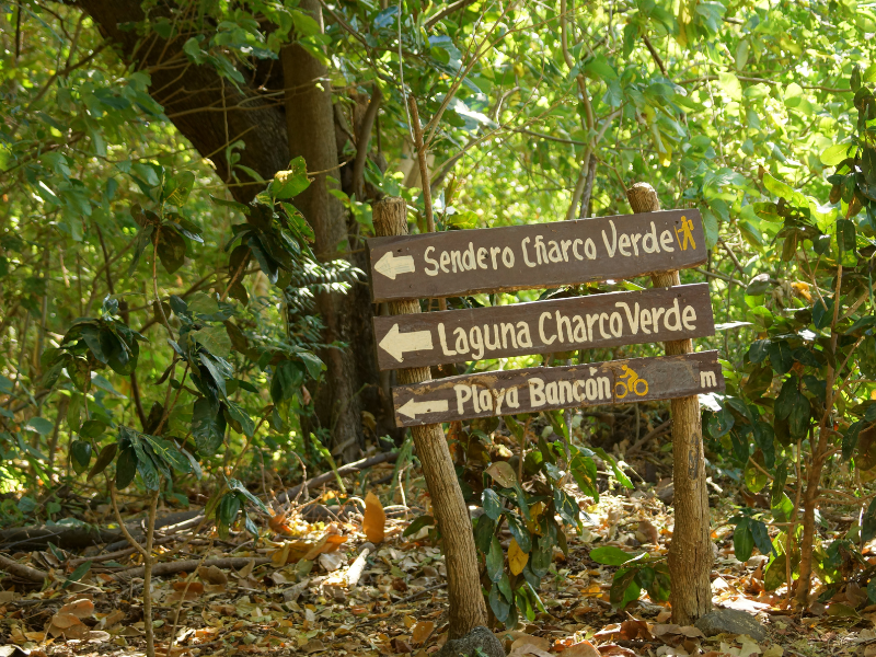 Wooden signages in Ometepe