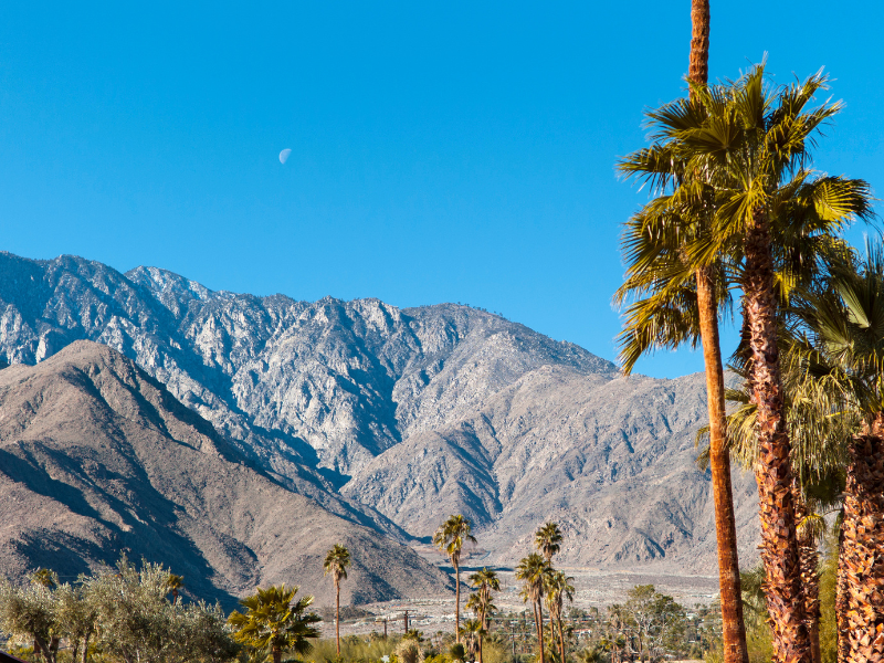 palm springs is the perfect destinations for a girls' trip in california.
