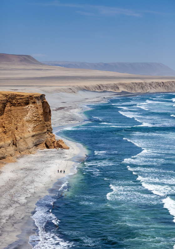 Best Things Do in Paracas, Peru: Ultimate Paracas Travel Guide