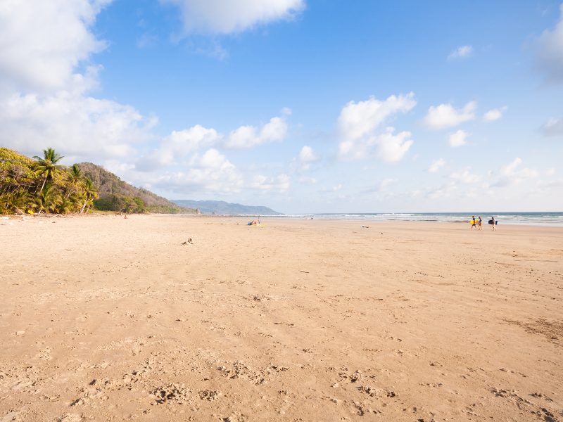 Sandy beach and surfers in Pavones