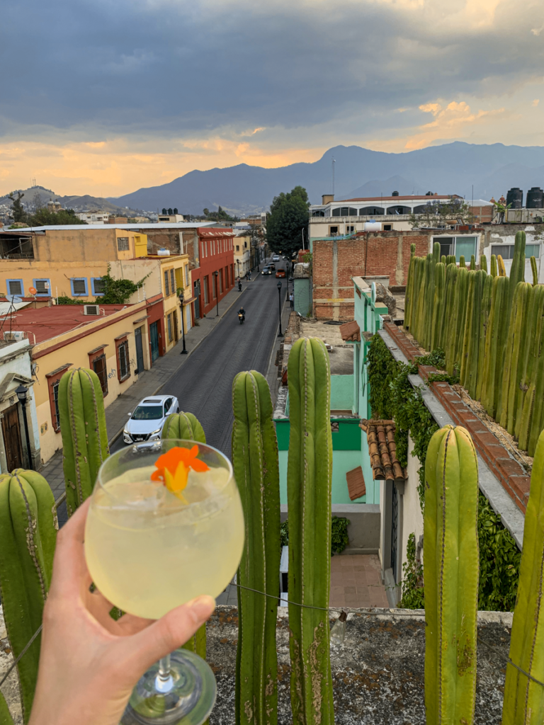 Drinking a cocktail on an amazing rooftop bar in Oaxaca.