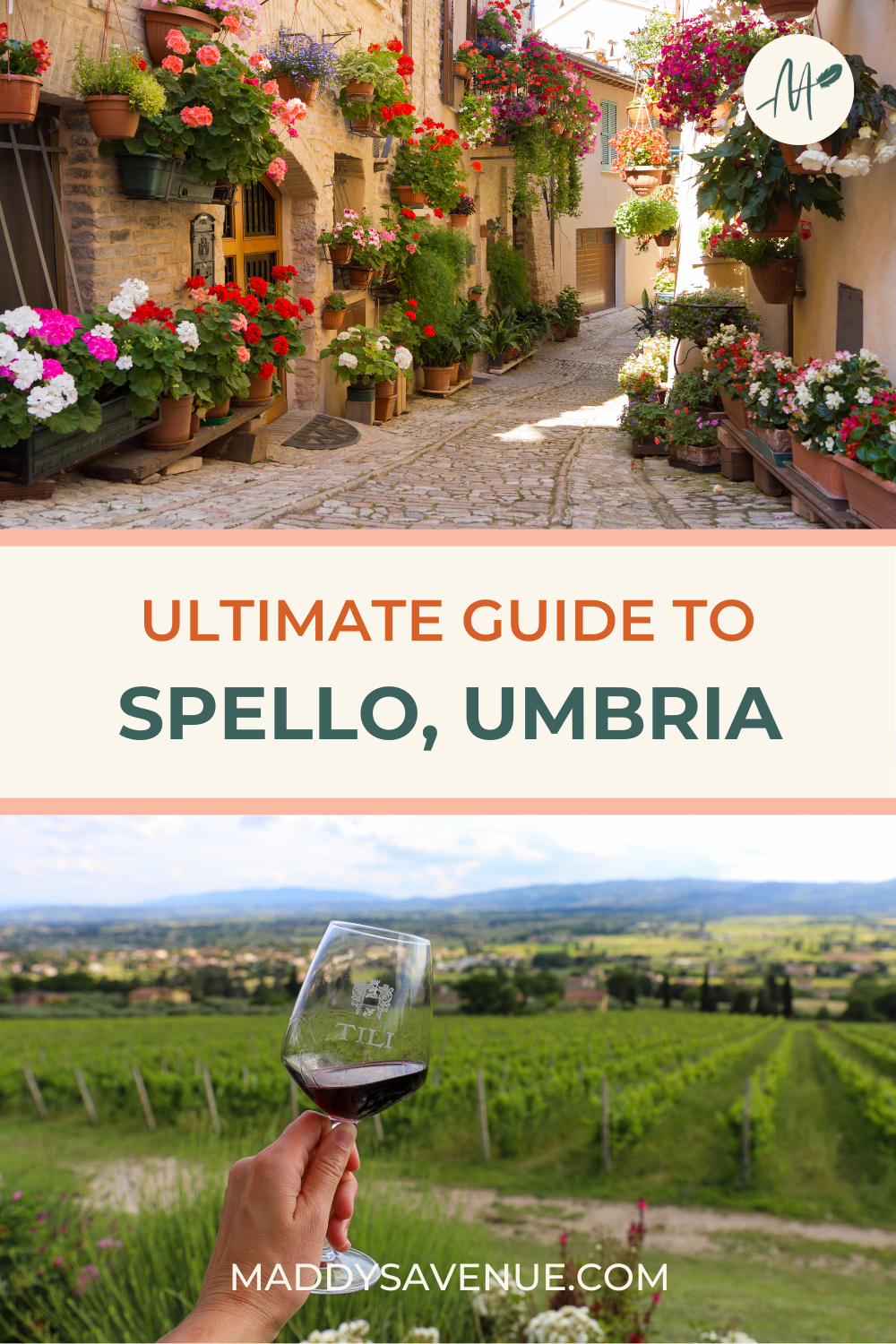 Daydreaming of visiting the ancient town of Spello, Italy, in the heart of the underrated region of Umbria? I don't blame you! Perched up high, on the side of Mount Subasio, Spello features outsized charm, millennia of fascinating history, delicious traditional restaurants, and incredible views of the Umbrian Valley below. All of this, without the chaos and crowds you'd find in similar hilltop towns in Tuscany! Here's the ultimate guide to the tiny town of Spello, Umbria!