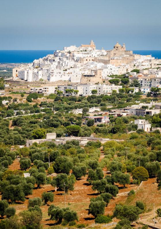 16 Enchanting Things to Do in Ostuni, Puglia: Italy’s “White City”