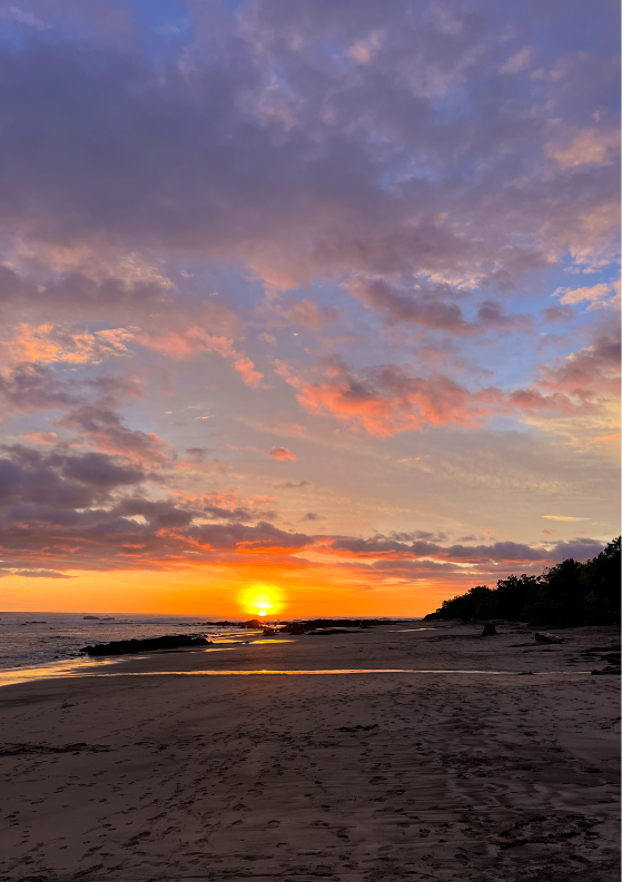 Playa Avellanas, Costa Rica Travel Guide: Things to Do + Tips