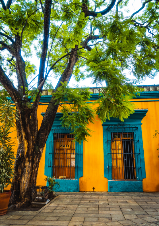 10 Reasons to Visit Oaxaca City, Mexico ASAP